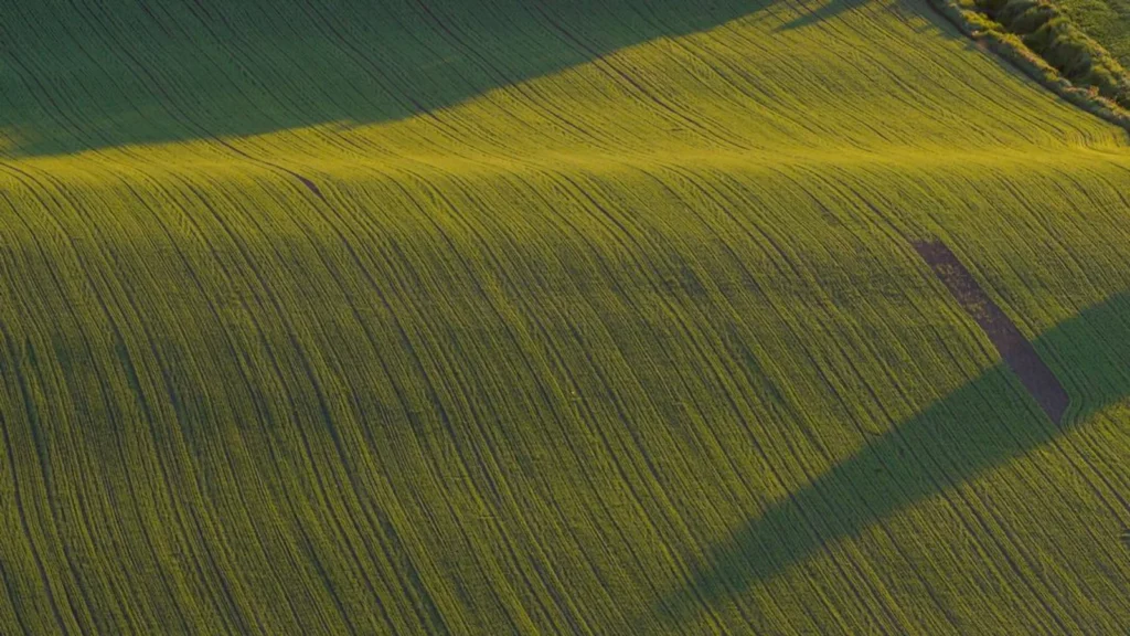 análisis de suelo agrícola: Análisis de suelo agrícola: parámetros, proceso y resultados