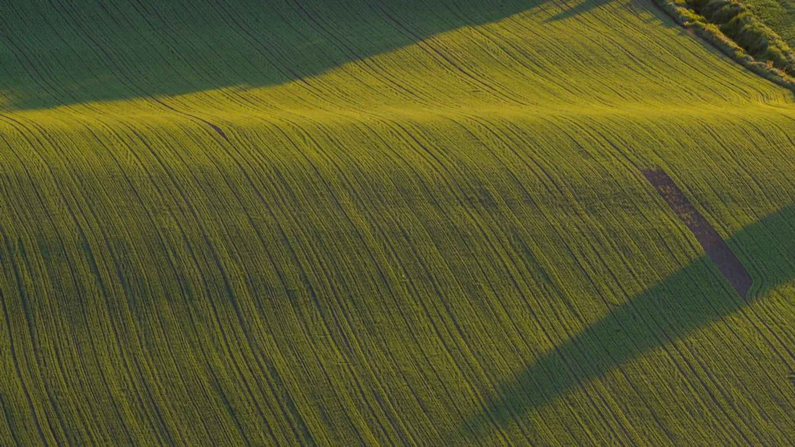 análisis de suelo agrícola: Análisis de suelo agrícola: parámetros, proceso y resultados