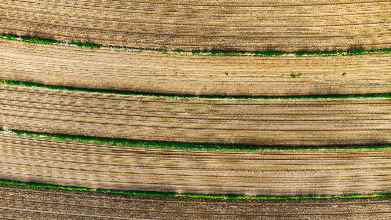 t en Análisis de suelo agrícola: parámetros, proceso y resultados